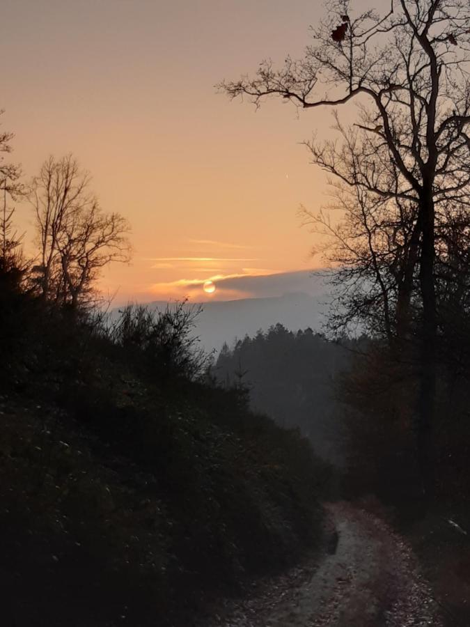 Bed & Breakfast Vallee De L'Ourthe Marcourt Buitenkant foto