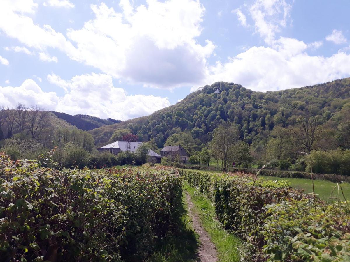 Bed & Breakfast Vallee De L'Ourthe Marcourt Buitenkant foto